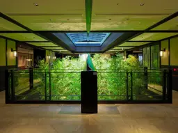 Dhawa Yura Kyoto