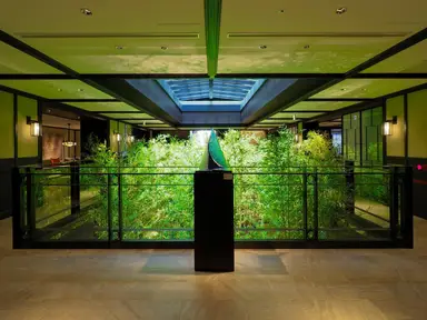 Dhawa Yura Kyoto