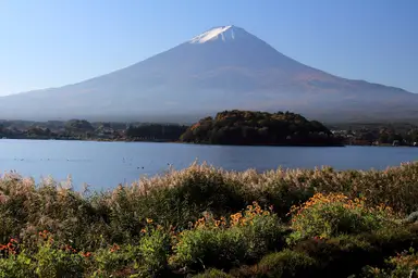 สวนโออิชิ
