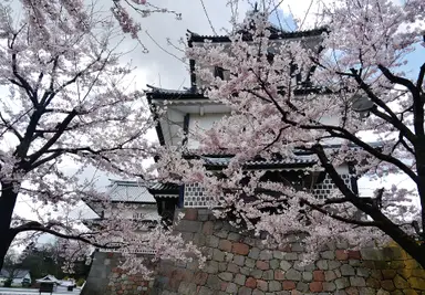 สวนปราสาทคานาซาวะ